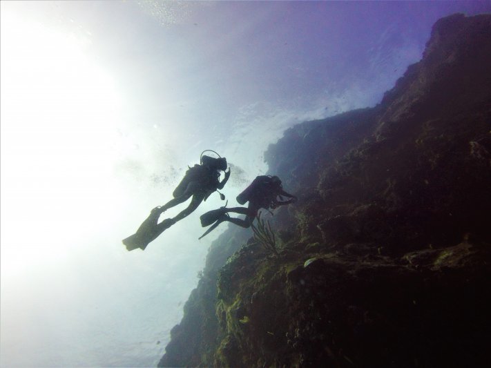 Saba 2021 Deep DIve