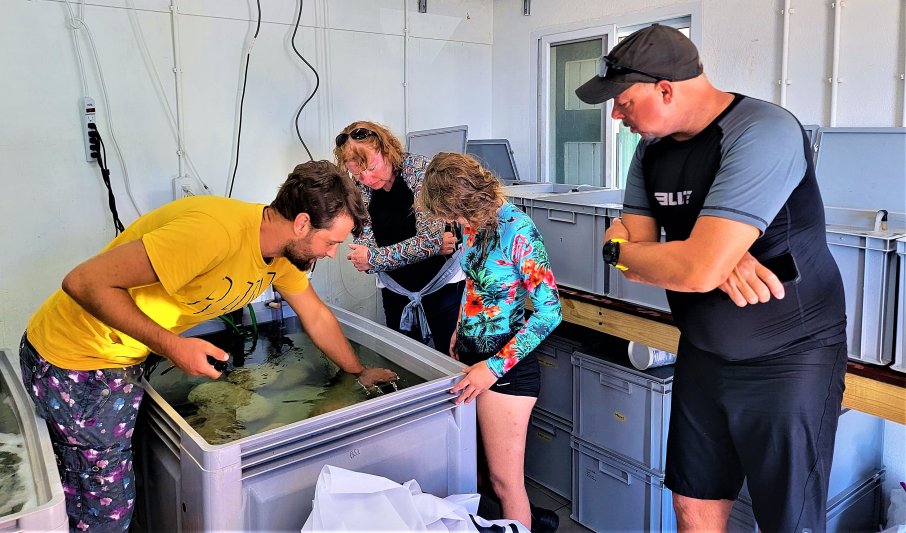 Saba 2021 Sea Urchin Research