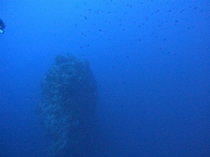 Saba 2021 Pinnaclel Dive